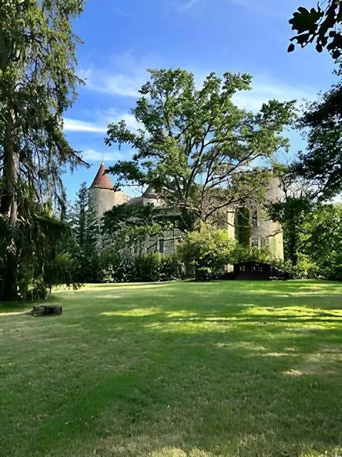 Chateau De Codignat Lezoux 0*,  France